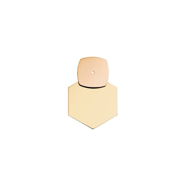 Hexagon and Square earring